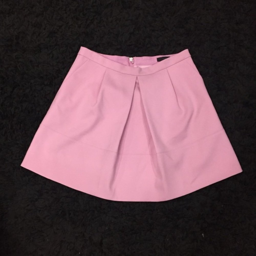 J. Crew Pink Women's Skirt